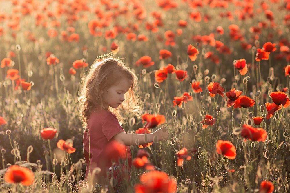 Photograph by Дина Змушко