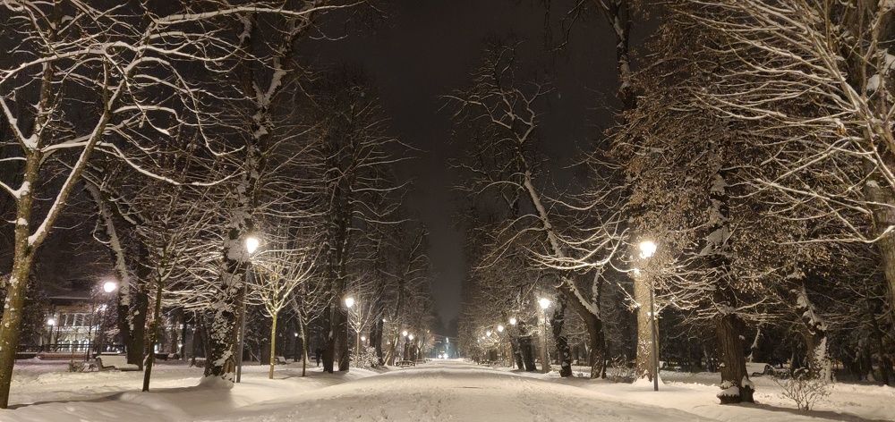 Winter