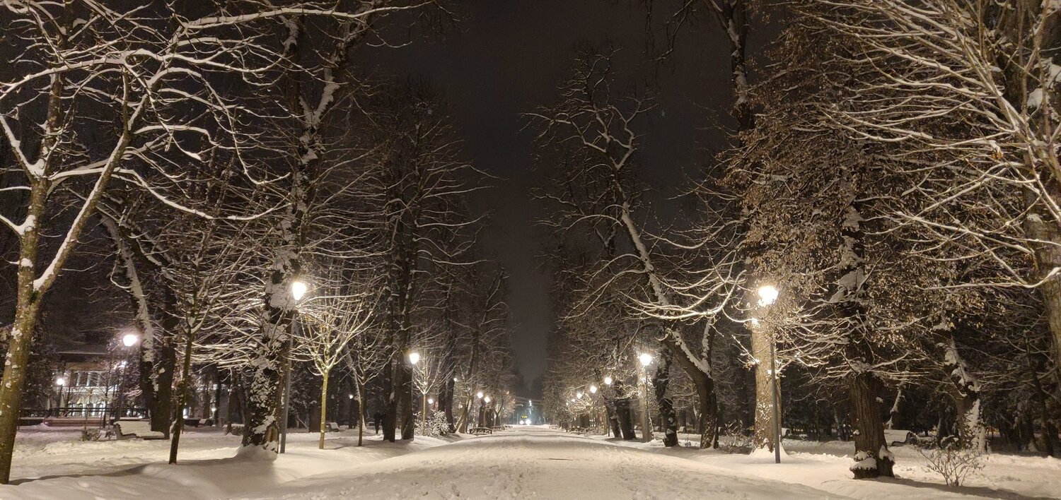 Winter