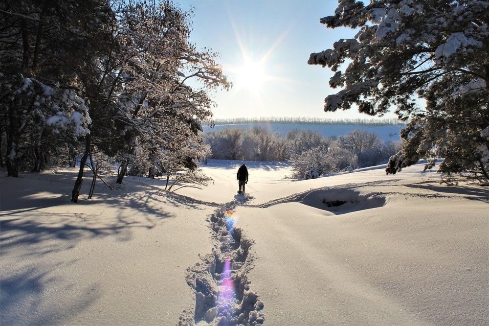 "Освоение целины"