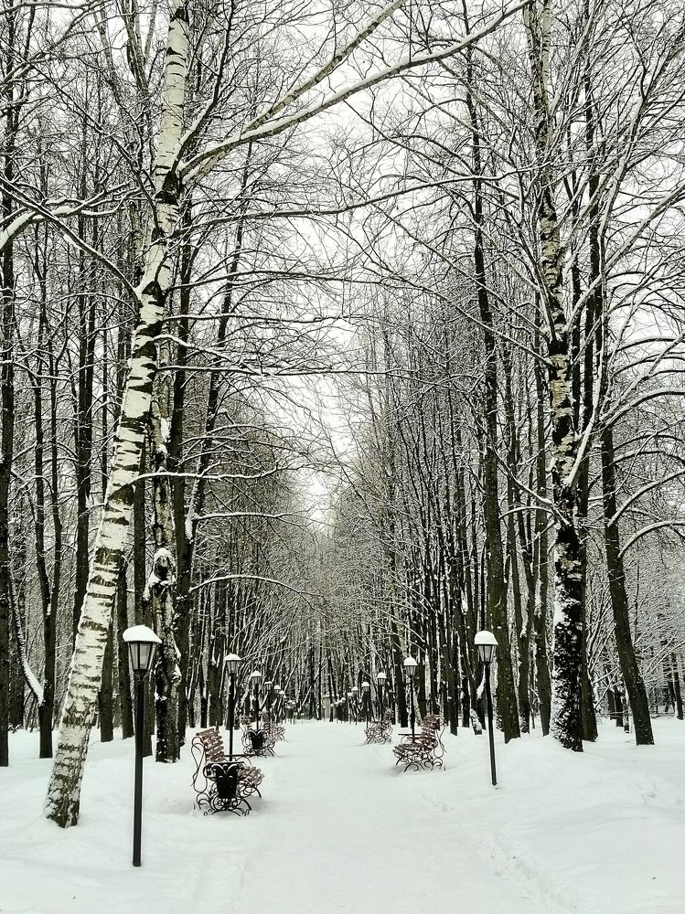 Снежная алея