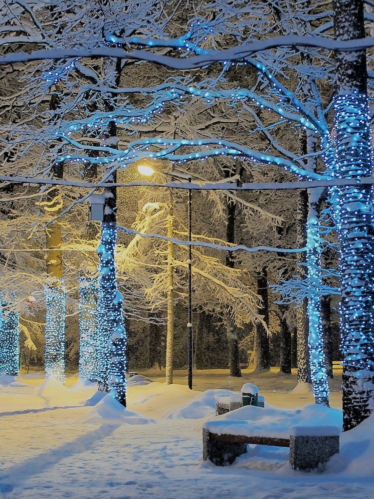 Снежное утро