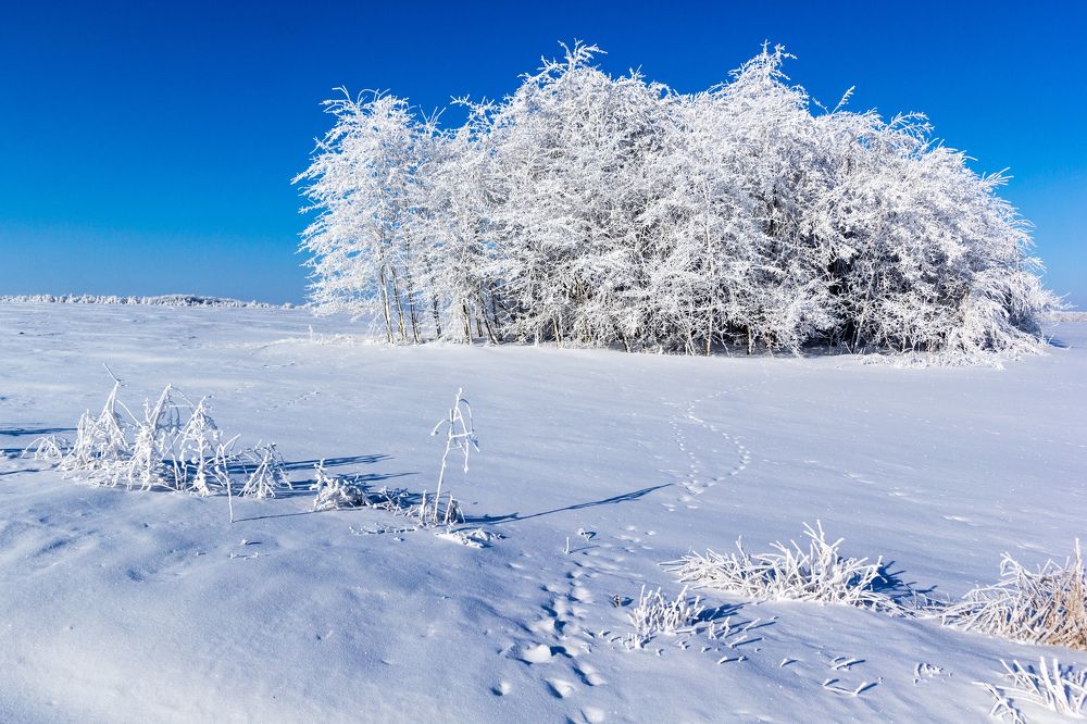 Зимний пейзаж
