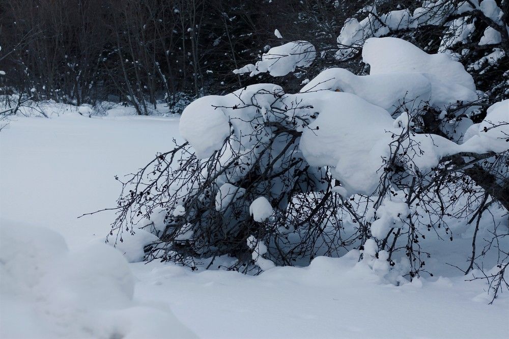 Photograph by ЕКАТЕРИНА БРАГИНА