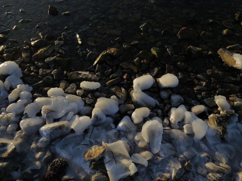 Photograph by ЕКАТЕРИНА БРАГИНА