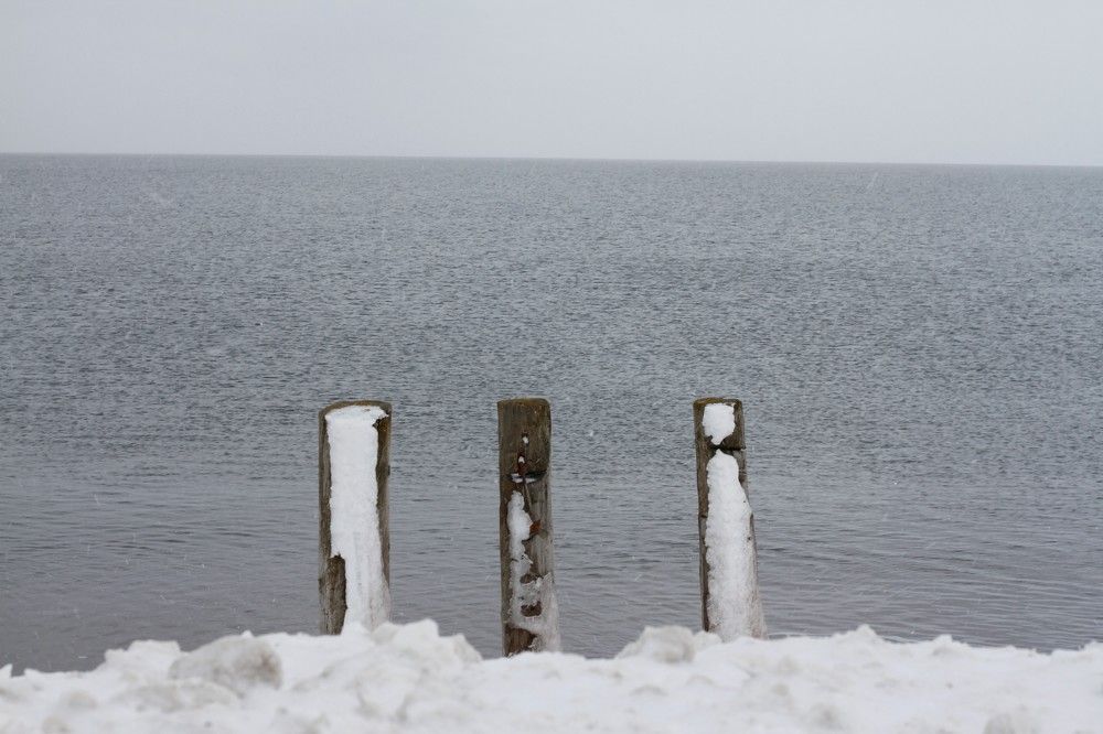 Photograph by ЕКАТЕРИНА БРАГИНА