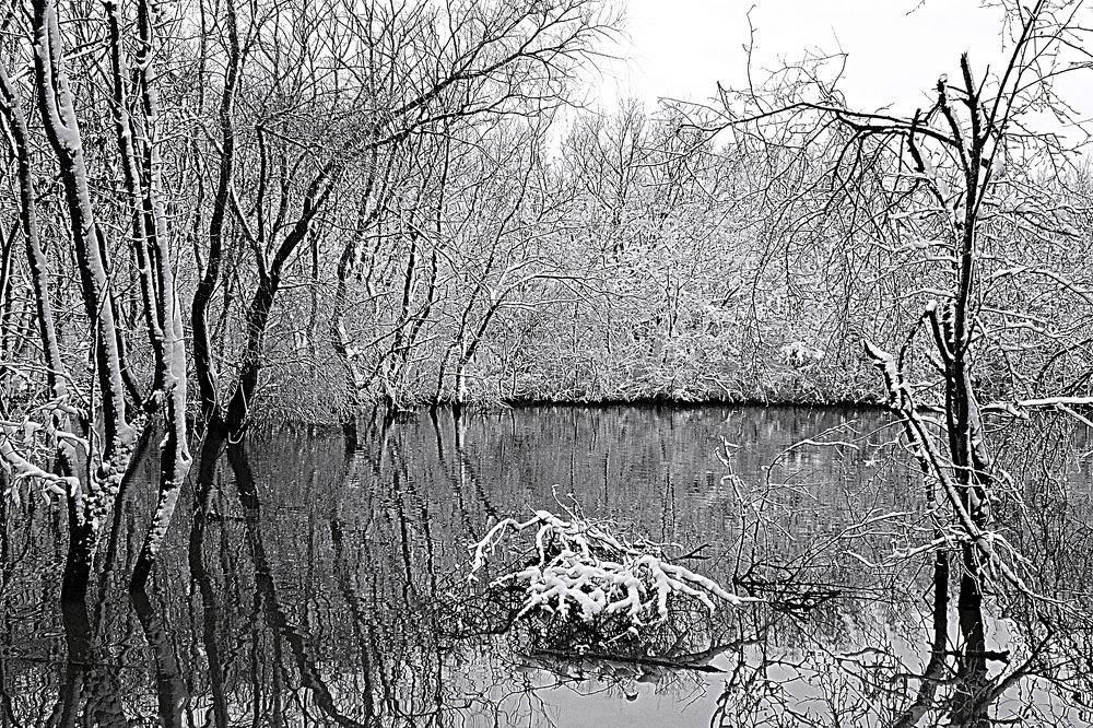 Photograph by Ирина Дашкова-Красникова