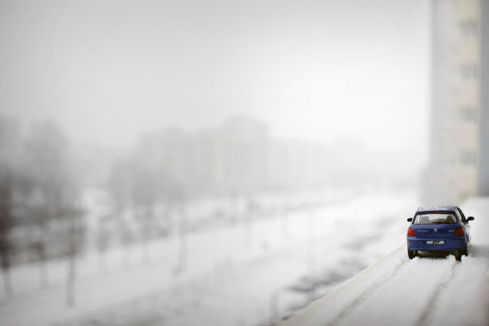 в каменных джунглях