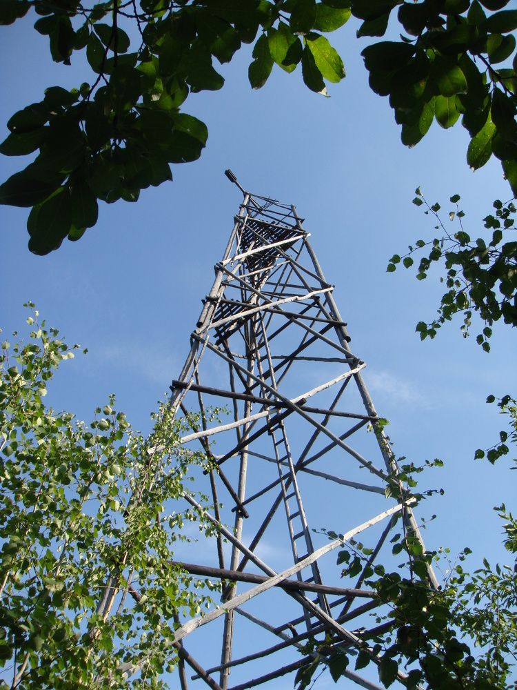 где то в тайге