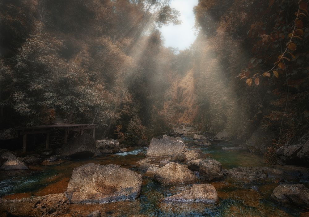 В джунглях...