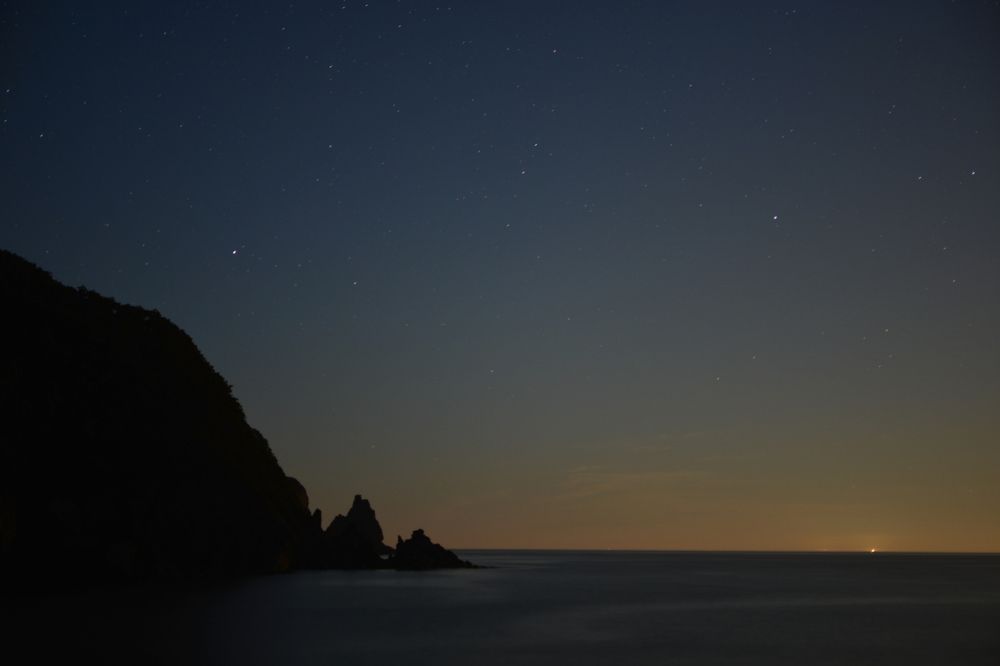 Морские звезды (Sea stars)