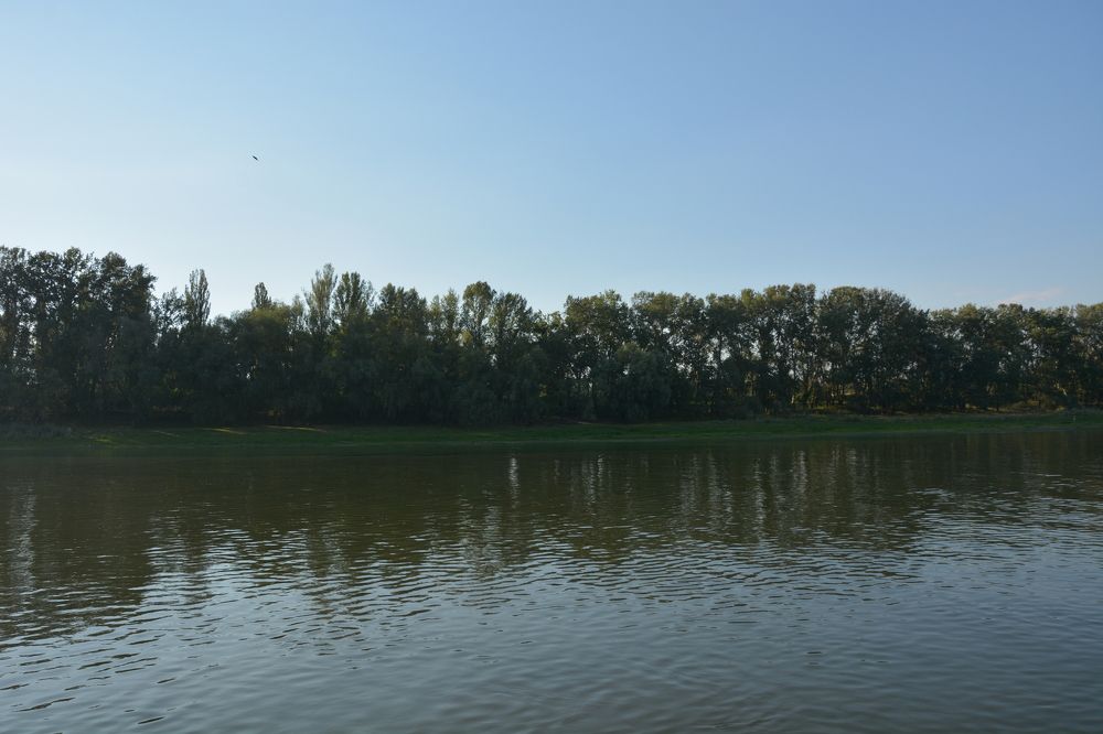 Photograph by Helena Lugowska