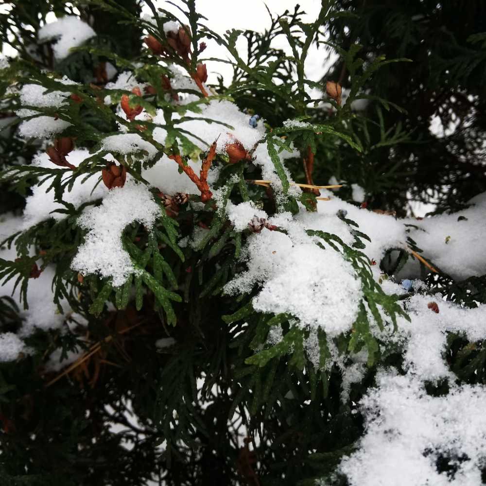 Незабываемый момент