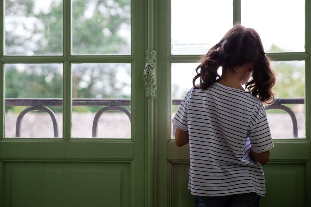 The world from my window