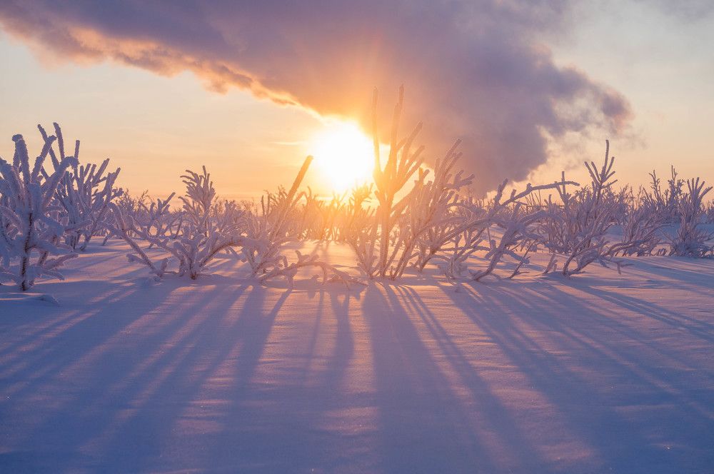 Полярное солнце
