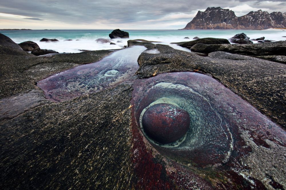 Лофотенский глазок