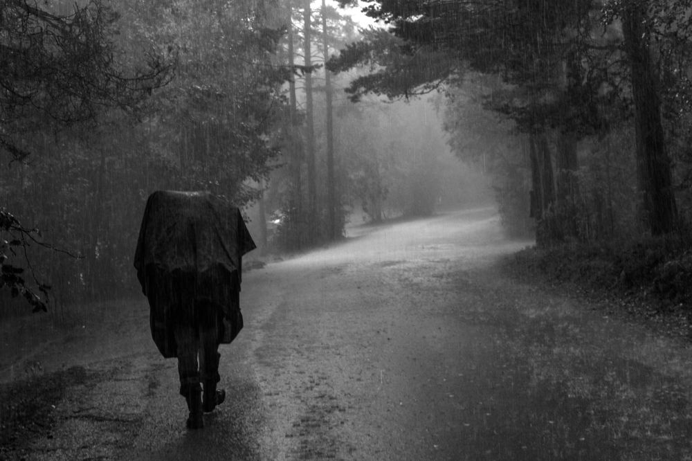 Фотография автора Dimitrii Aristoff