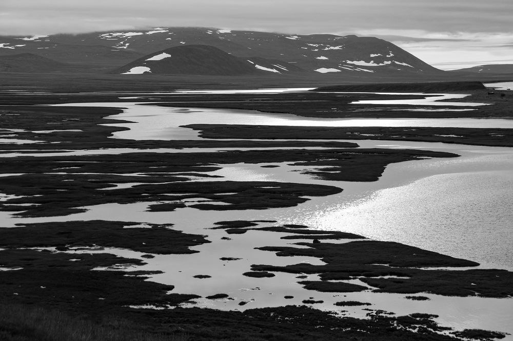 Мужская работа - морская охота.