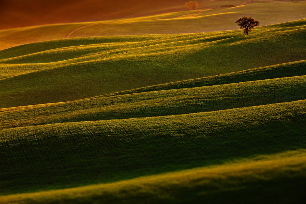 Ковролинчик