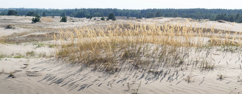 Свет и тень