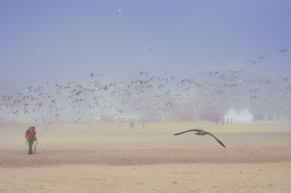 Fog on the city beach