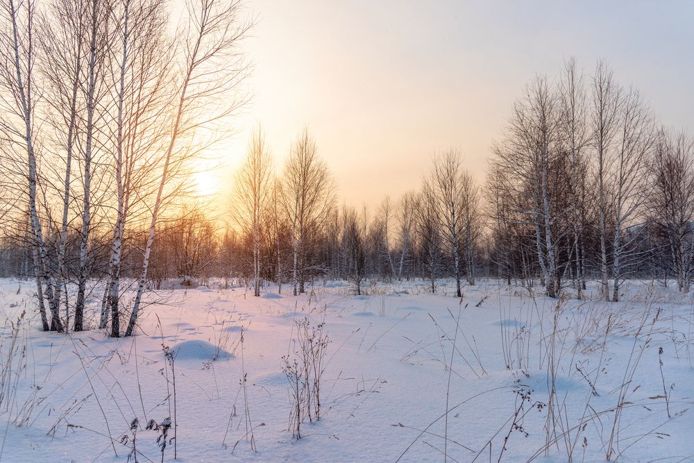 Зимний вечер