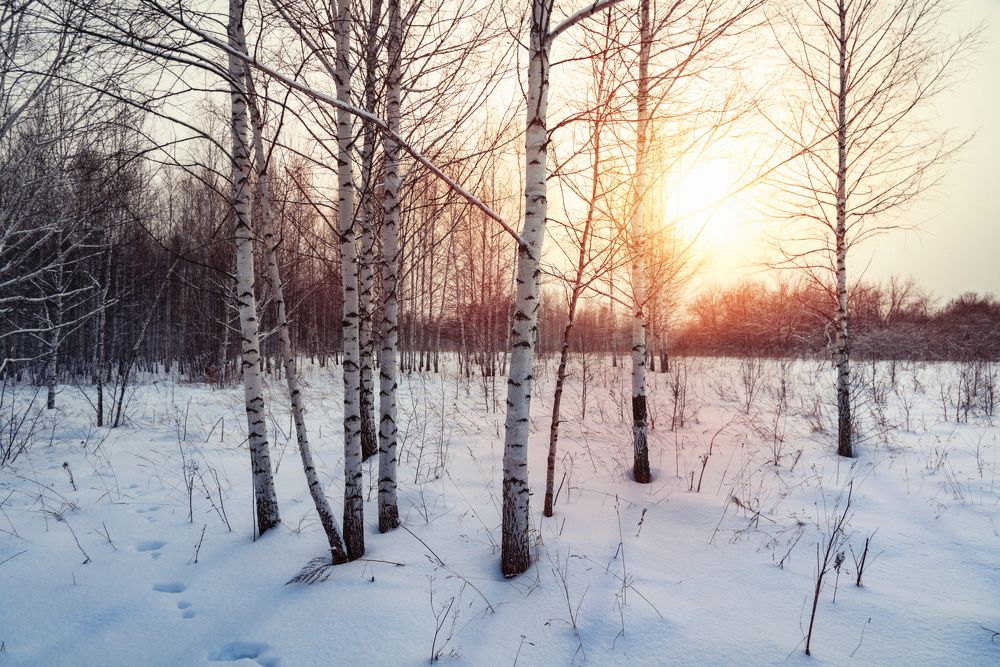 Зимний вечер