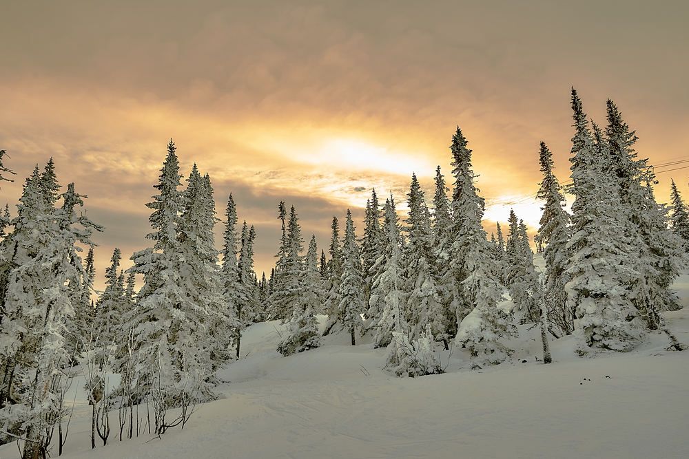 Photograph by Владимир Малевич
