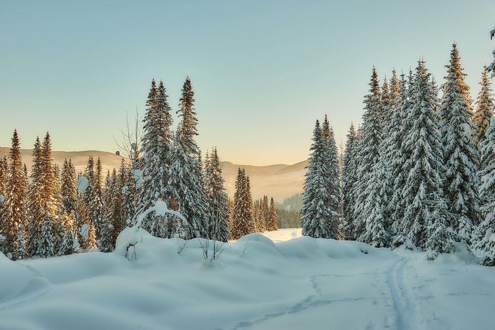Photograph by Владимир Малевич