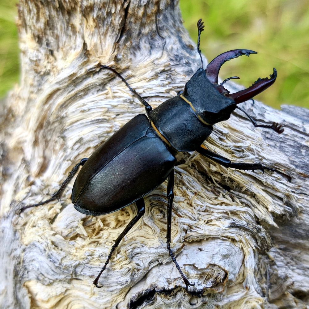 Photograph by Дмитрий Батагов