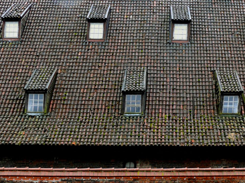 Photograph by Iurko Iesupenko