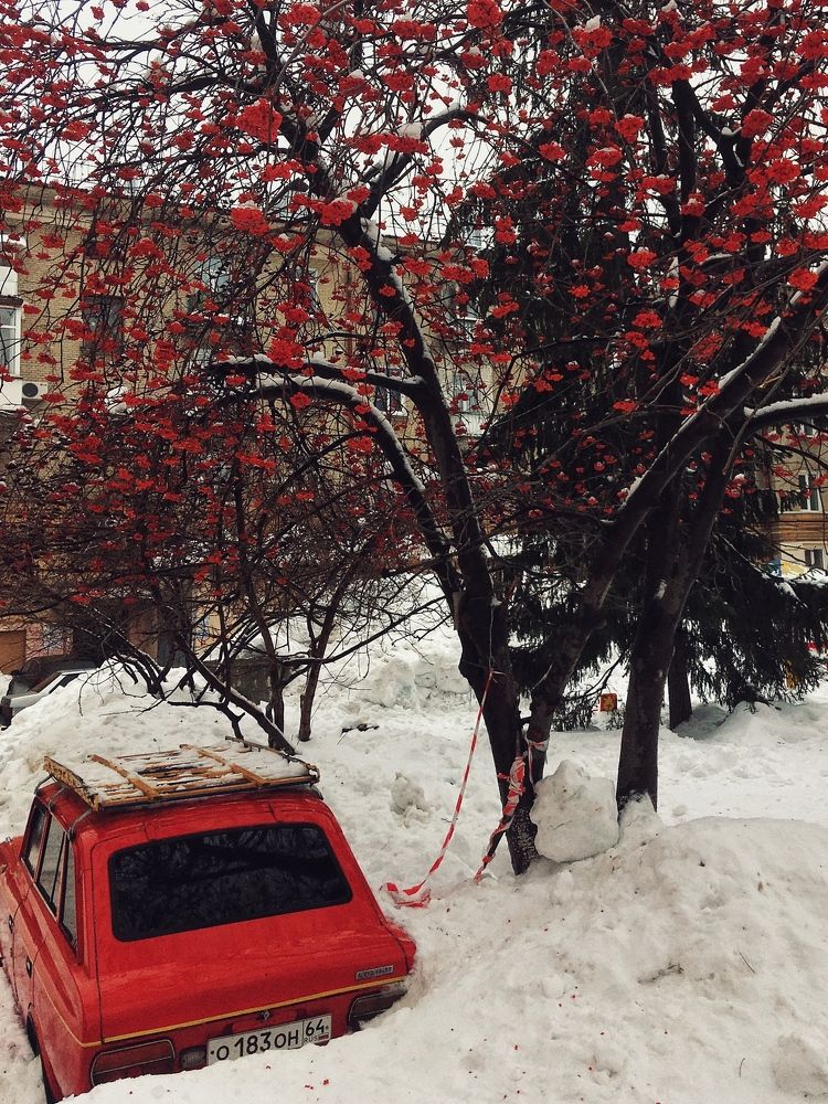 Фотография автора Алексей Зуев