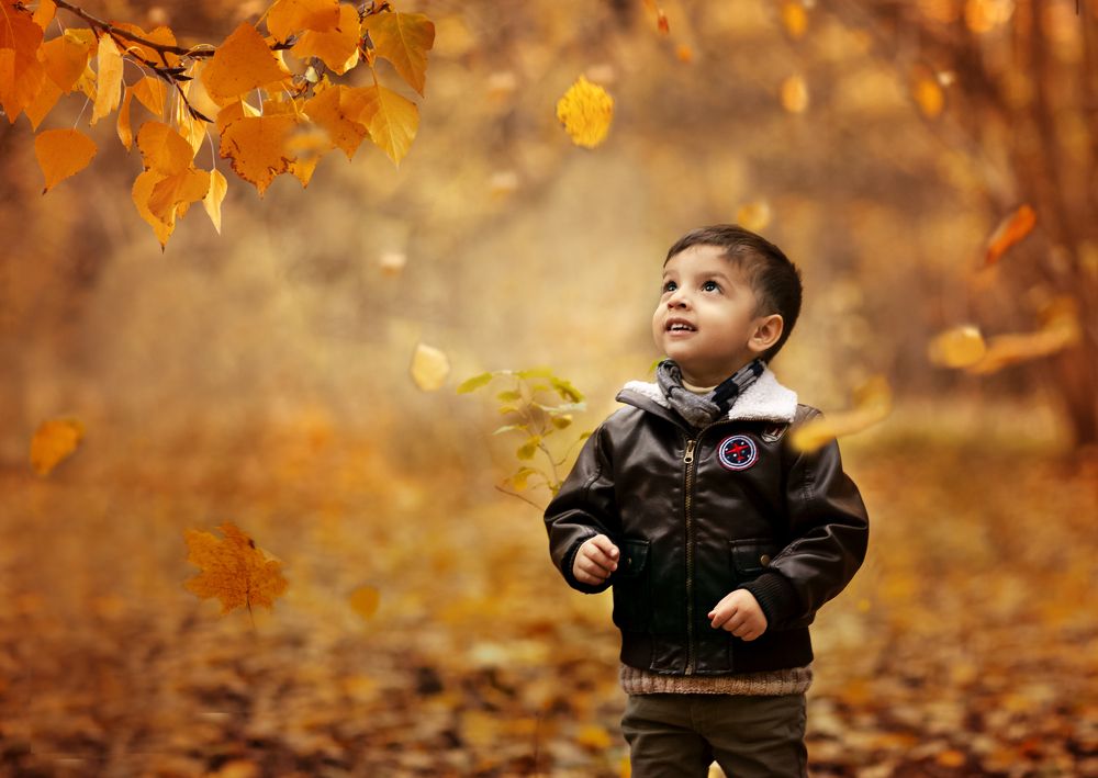 Осеннее чудо