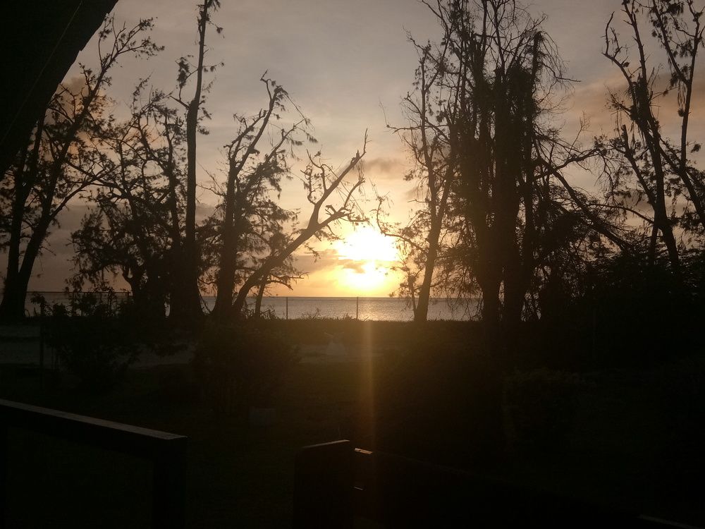 The Calm after the Storm