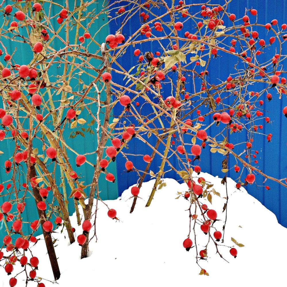 Photograph by Степанов Евгений