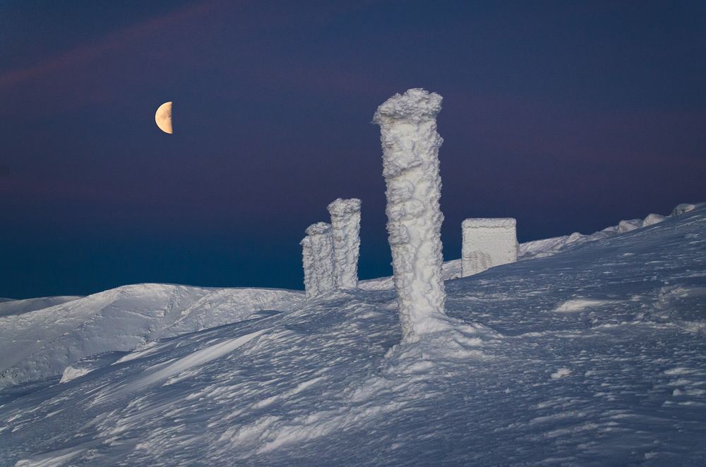 Photograph by Olga Akhmetova