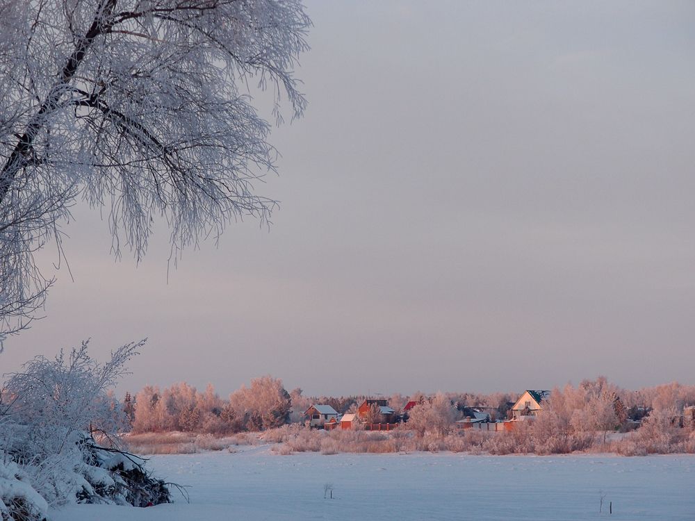 В вечернем свете