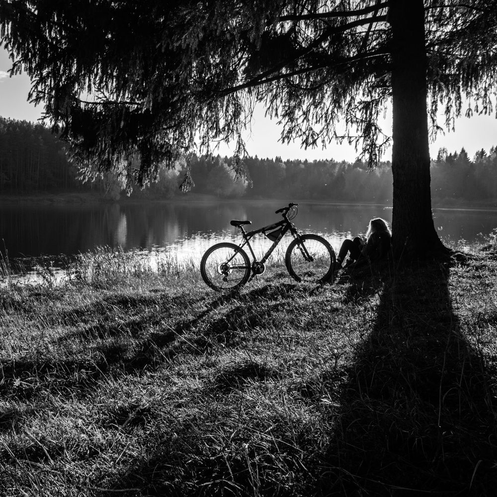 На старом пруду