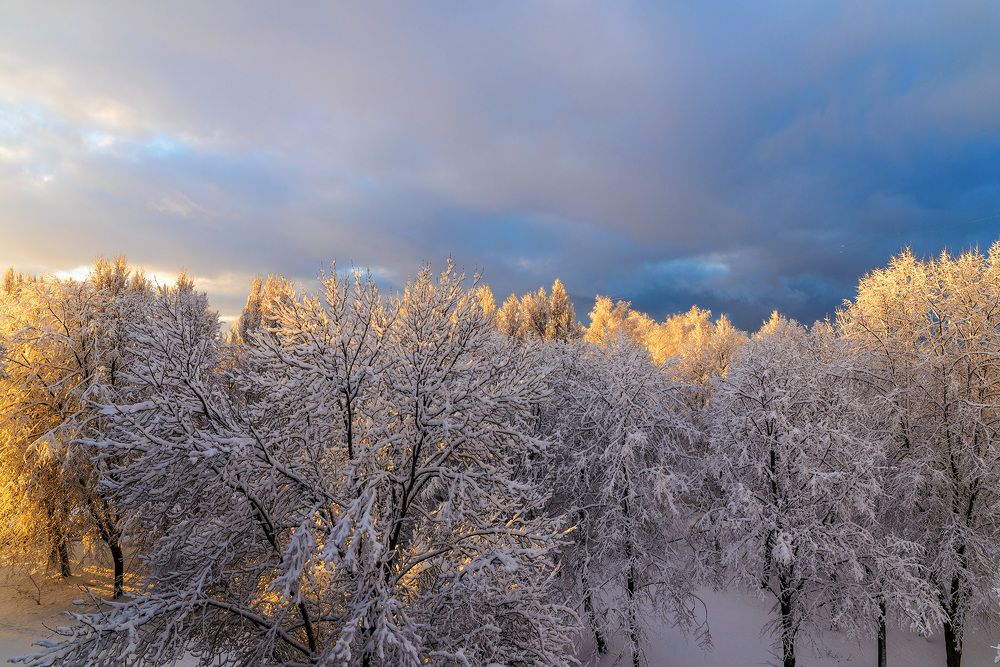 Зимнее утро