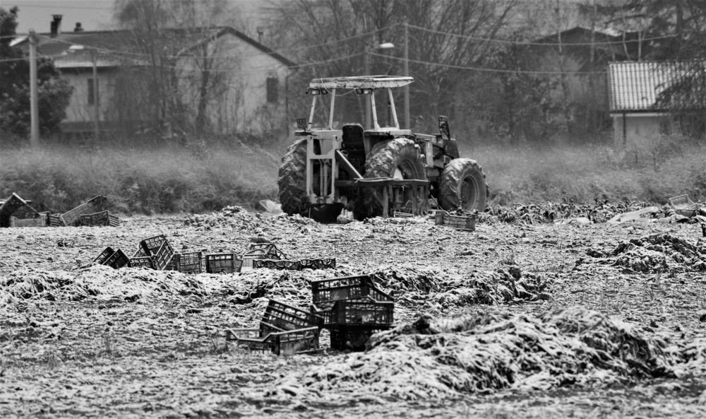 Hard work in winter....