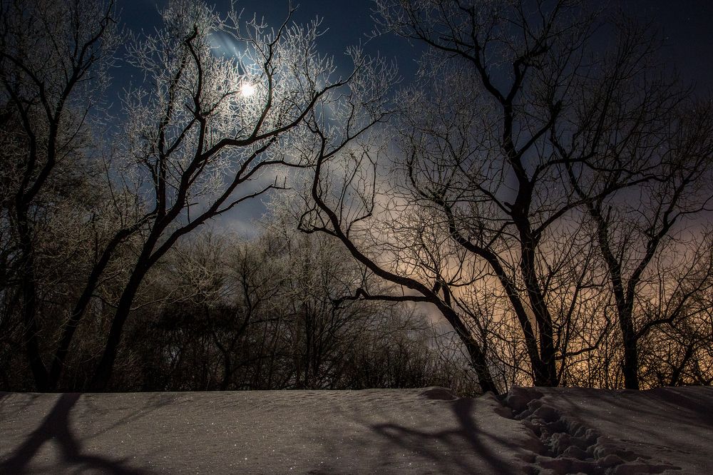 Лунная ночь