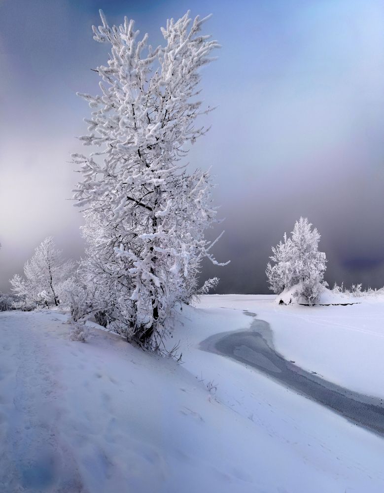 Новая шубка