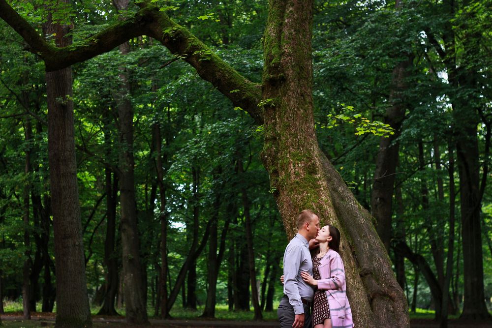 Дерево жизни