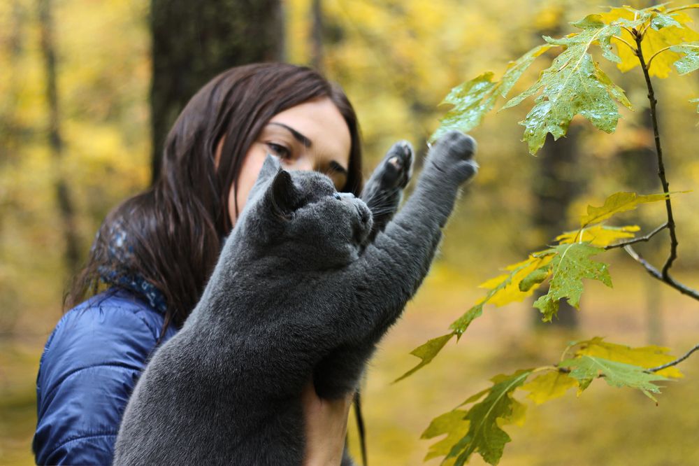 Любовь сквозь тысячелетия