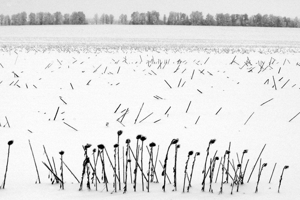 Photograph by Степанов Евгений