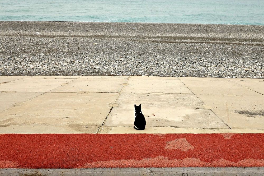 Photograph by Степанов Евгений