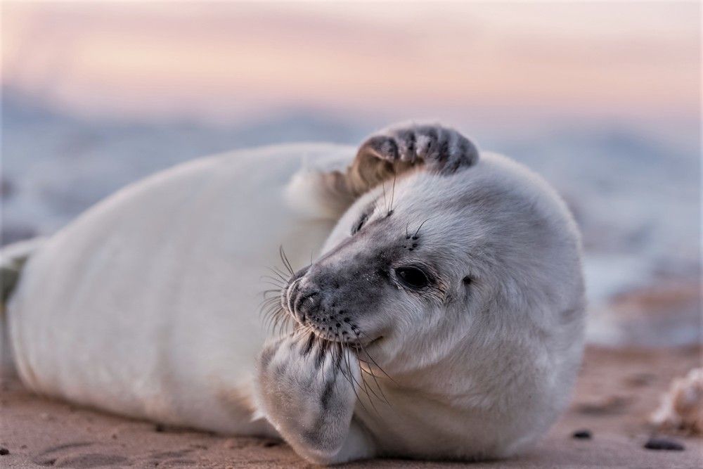 Photograph by Larisa Cekanaviсa