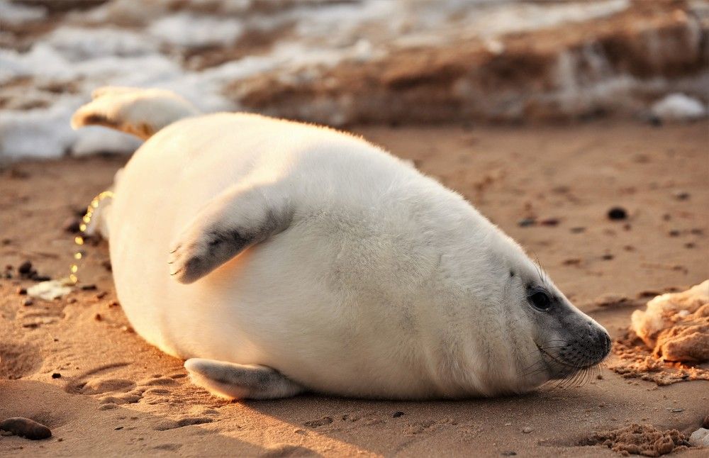 Photograph by Larisa Cekanaviсa