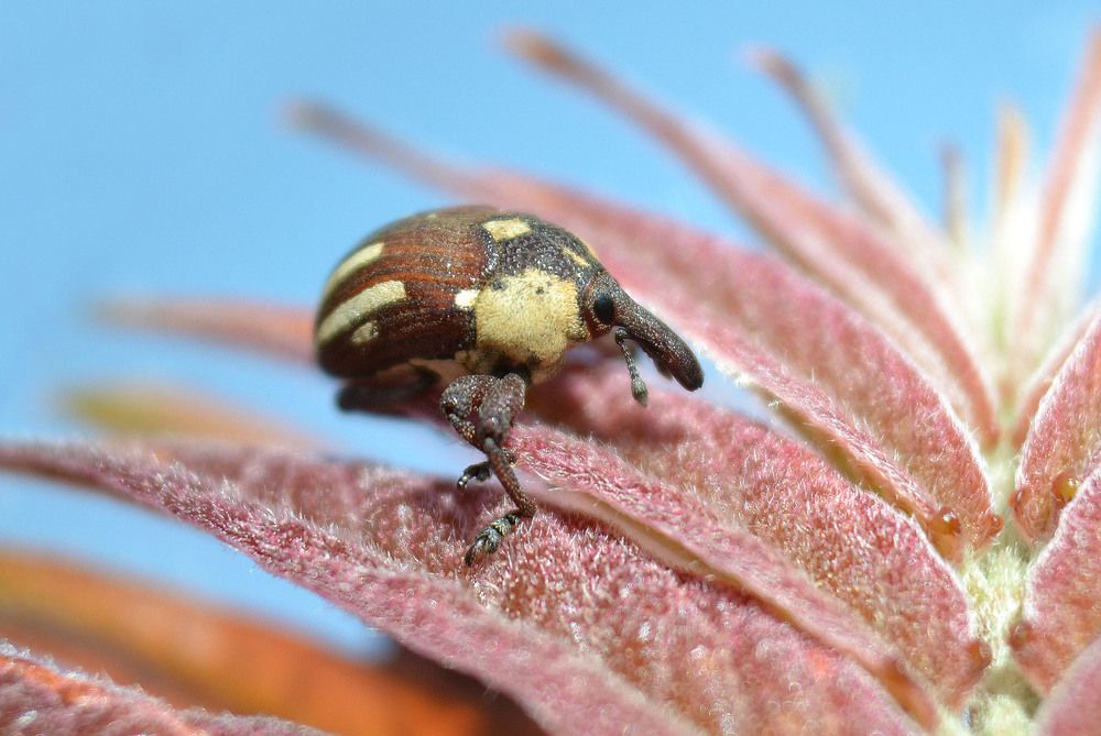 Photograph by Нелли Солодовникова