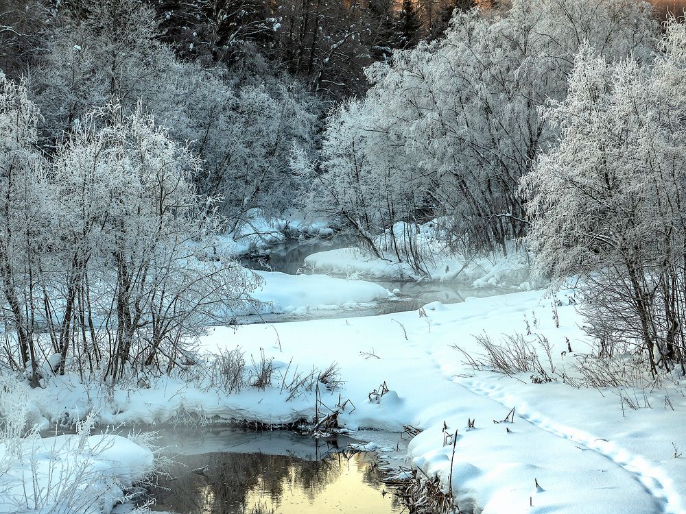 морозное утро